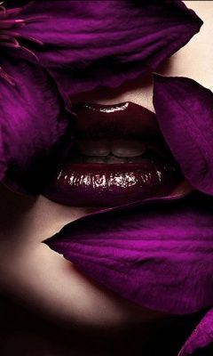 kiss_purple.jpg